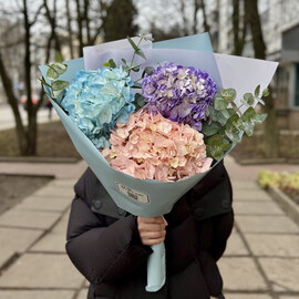 Букет Три гортензии