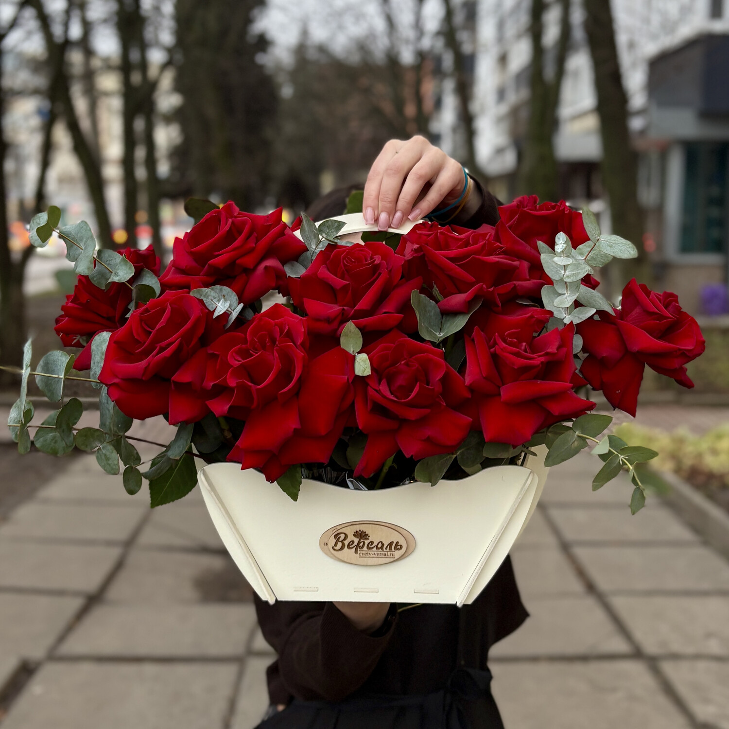 Ящик с красной французской розой